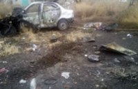 В Донецкой области отец с сыном подорвались на мине
