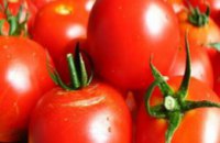 Ученые выявили уникальное защитное свойство у помидоров
