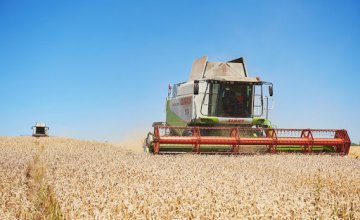 На Днепропетровщине уже собрали более 760 тыс тонн ранних зерновых