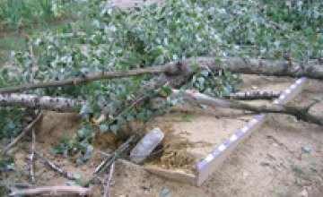 В Новомосковске дерево упало на песочницу