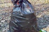 Криворожанку, останки которой нашли в мусорных пакетах, убила ее подруга