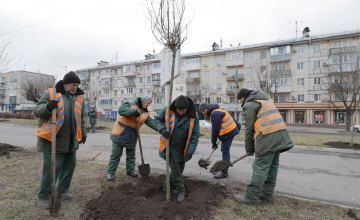 В Днепре на просп. Поля высадят более 200 молодых деревьев