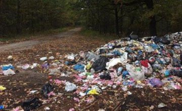 Предпринимателей Днепра будут штрафовать за неправильную утилизацию мусора