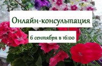 Для жителей Днепра стартовали бесплатные онлайн-консультации по уходу за уличными растениями