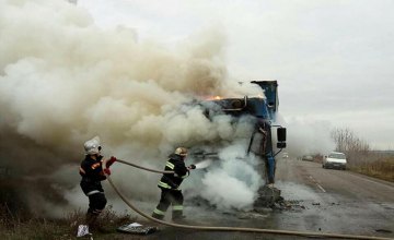В Николаевской области на трассе загорелся грузовик (ФОТО)