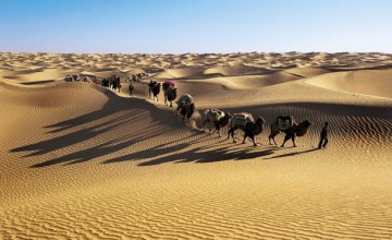 Ученые установили возраст одной из крупнейших песчаных пустынь мира