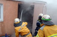 На Днепропетровщине горела хозпостройка: пожарные спасли домашнего любимца
