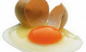 Украинцам предлагают классифицировать яйца по размерам: XL, L, M, S, ХS