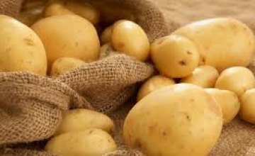 За минувшие сутки в супермаркетах Днепра картошка подорожала на 20%