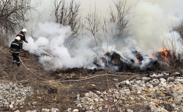 В Павлограде загорелся сухостой: огнём уничтожено 50 квадратных метров