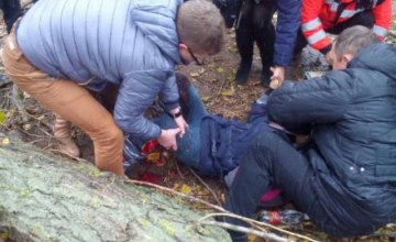 В Ужгороде на 12-летнюю девочку упало дерево