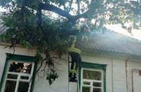 В Днепре на крышу частного дома упало дерево (ФОТО)