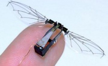 Ученые Гарварда создали первого в мире робота-насекомого (ВИДЕО)