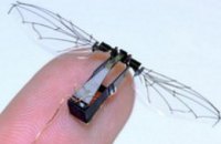 Ученые Гарварда создали первого в мире робота-насекомого (ВИДЕО)