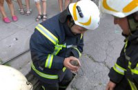 В Каменском пожарные спасли жизнь ёжику (ФОТО)