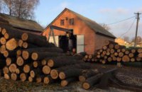 Убытки составили 98 млн. грн: сотрудников лесного хозяйства обвиняют в служебной халатности