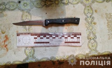 В Петриковском районе мужчина кухонным ножом убил собственную мать