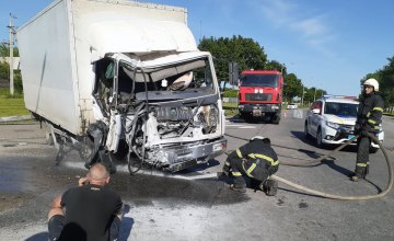 На Днепропетровщине грузовик влетел в столб: пассажира из авто вырезали спасатели (ФОТО)