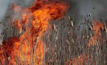 В Днепропетровской области с начала года возникло почти 2 тыс пожаров в экосистемах