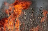 В Днепропетровской области с начала года возникло почти 2 тыс пожаров в экосистемах