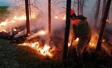 За минувший год пятая часть Днепропетровской области выгорела от пожаров в экосистемах: ГСЧС призывает жителей региона быть ответственнее