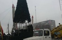 ​В Днепре начали устанавливать первую елку к Новому году (ФОТО)