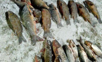 ​За декабрь месяц в Днепропетровской области выявили 144 нарушения отлова рыбы
