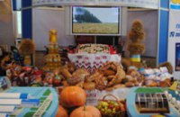 Днепропетровская область получила высшую награду выставки «Барвиста Україна» 