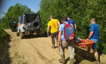 В Черновицкой области ребенок во время экскурсии упал со скалы