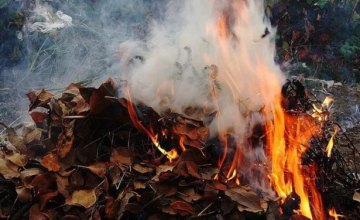 Экологи предупреждают: сжигать листья опасно и вредно