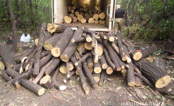 В Кривом Роге задержан мужчина, занимавшийся незаконной вырубкой деревьев: изъято 4 куба леса 