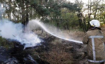 ​На Днепропетровщине горело 2 хвойных леса