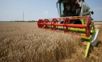 Хлеба хватит всем: более 2 млн тонн зерна собрала Днепропетровщина