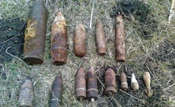 В Днепропетровской области в лесу нашли боеприпасы