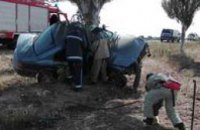 В Херсонской области автомобиль сложился пополам после удара о дерево: двое погибших