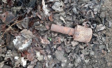 На Днепропетровщине мужчина во время поиска металлолома обнаружил гранату