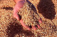 Украина поставит России 2 миллиона тонн зерна