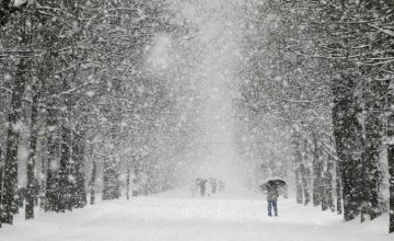 Мэр Днепра назвал нынешний снегопад «стихийным бедствием» и заявил, что в среду будет еще хуже