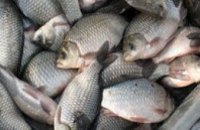 Более 8,5 тыс. тонн рыбы изъято у браконьеров на Днепропетровщине
