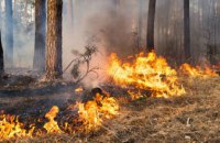 В 2020-м в экосистемах Днепропетровской области произошло более 3,7 тыс пожаров