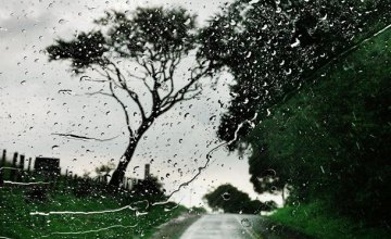 Погода в Днепре 7 августа: дождь и грозы