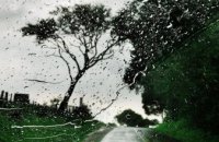 Погода в Днепре 7 августа: дождь и грозы