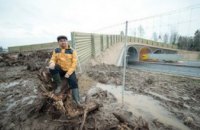 В Эстонии через оживленное шоссе построили мост для лосей
