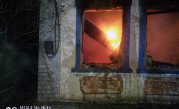 В Апостоловском районе при пожаре в доме погибла хозяйка жилья