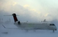 В Токио из-за снегопада отменили более 50 авиарейсов