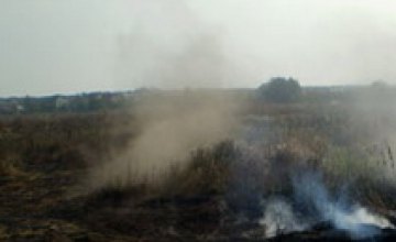 Пожар на иловых полях под Киевом — диоксин угрожает столице!