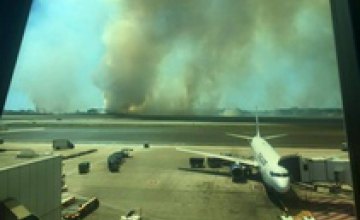 Работа аэропорта Рима заблокирована за лесных пожаров
