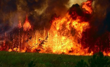 На Днепропетровщине сгорело поле