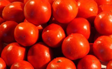 Днепропетровец, пытавшийся незаконно продать 1,5 т помидоров, был оштрафован на 17 грн