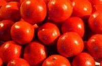 Днепропетровец, пытавшийся незаконно продать 1,5 т помидоров, был оштрафован на 17 грн